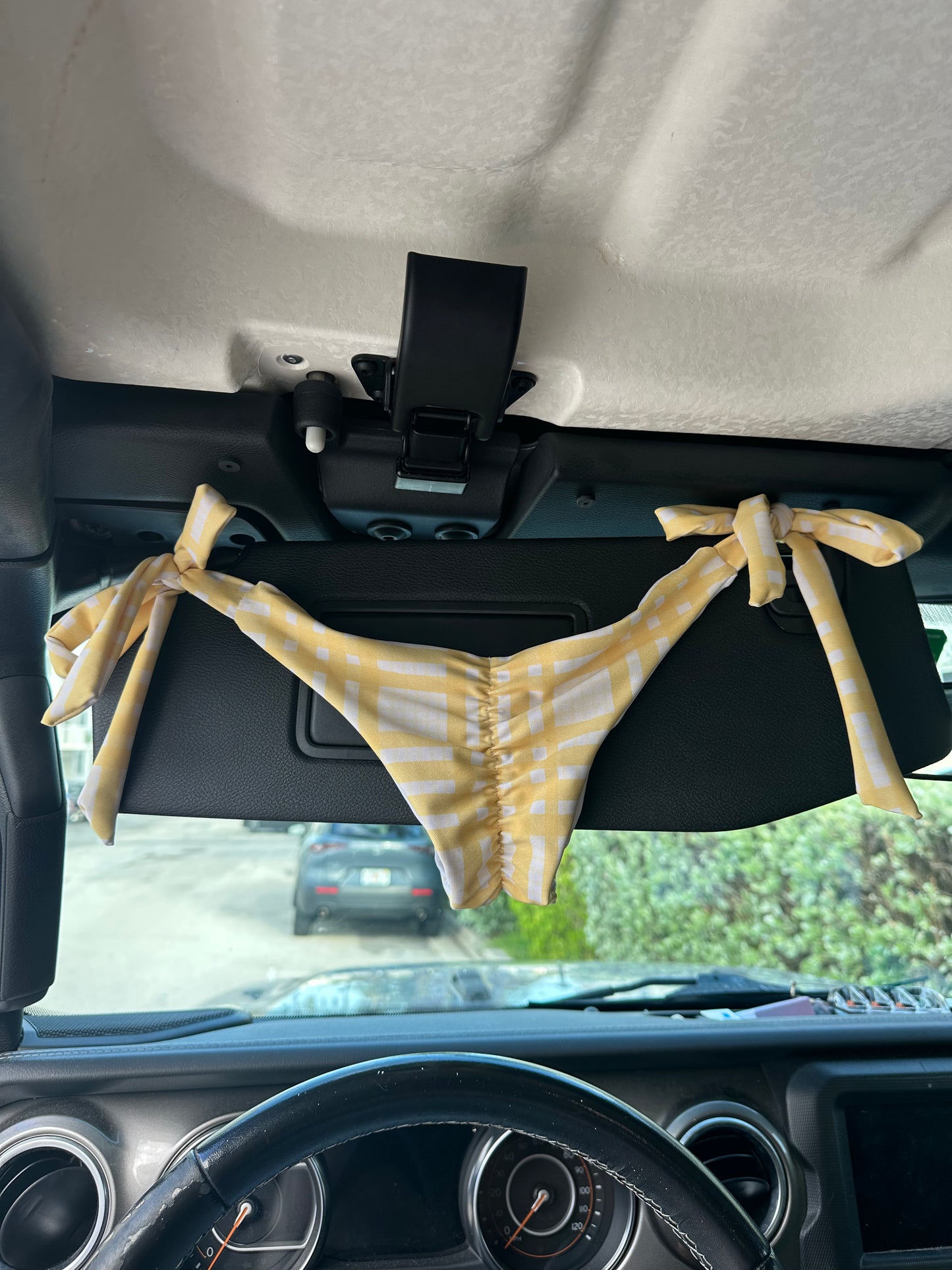 Blondie lowrise bottoms